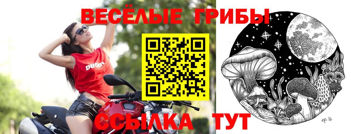 Псилоцибиновые грибы Magic Shrooms Кировск